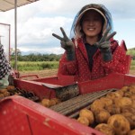 【理科大生必見】今年もやります！北海道が誇るじゃがいもの町「厚沢部町」にて、住み込み農作業短期バイトを募集